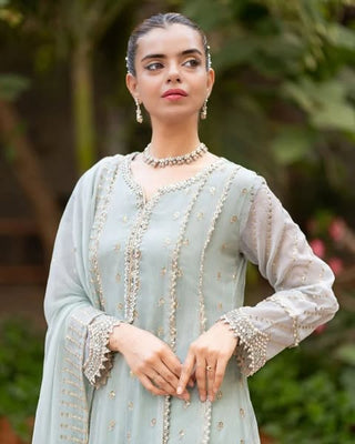 Chiffon with zari boti work