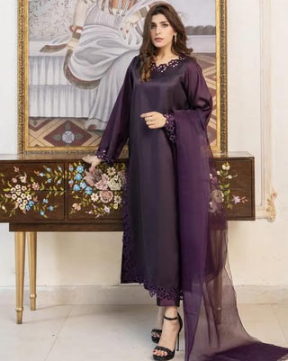 Organza Kurta Set