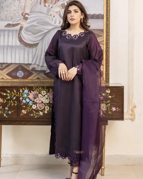 Organza Kurta Set